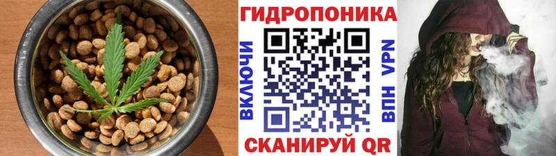купить закладку  Апрелевка  Печенье с ТГК конопля 